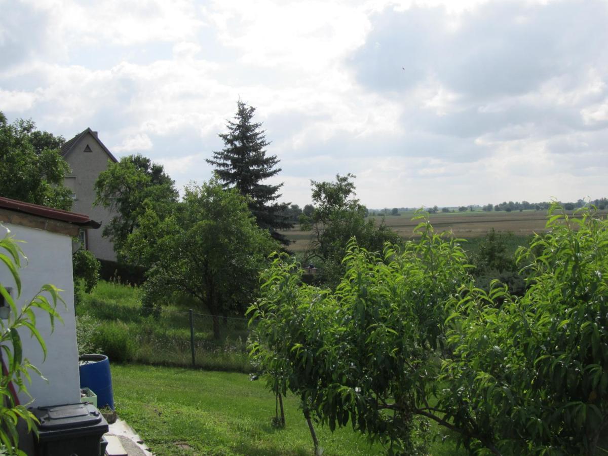 Zum Wiesengrund Im Oderbruch Altglietzen Buitenkant foto