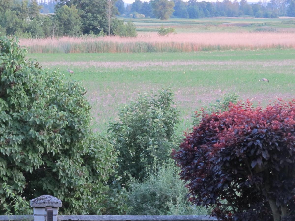 Zum Wiesengrund Im Oderbruch Altglietzen Buitenkant foto